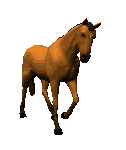 funny little horse